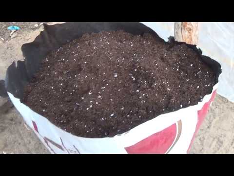 Видео: КАК ВЫБРАТЬ ТОРФЯНОЙ СУБСТРАТ.