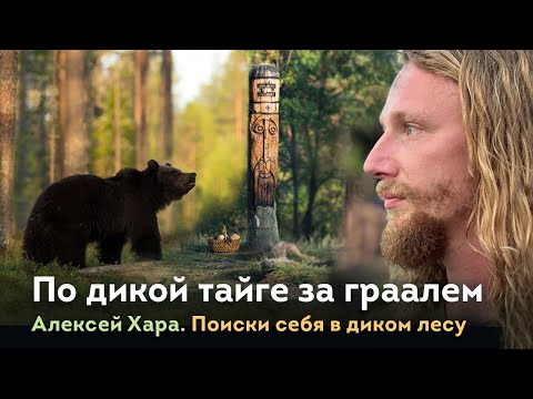 Видео: По дикой тайге за граалем! Алексей Хара. Поиски себя. Часть 2