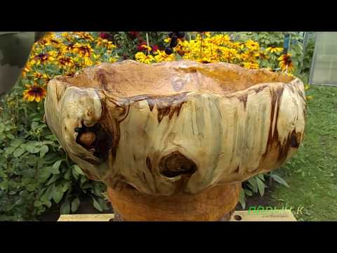 Видео: ВАЗА для фруктов из валежника.