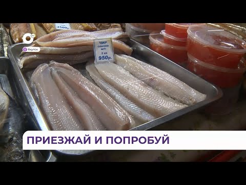 Видео: «Якутские вкусности»: крестьянский рынок в Якутске поражает разнообразием деликатесов