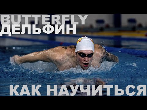 Видео: ТЕХНИКА ПЛАВАНИЯ БАТТЕРФЛЯЕМ | СОБИРАЕМ БАТТЕРФЛЯЙ ПО ЧАСТЯМ