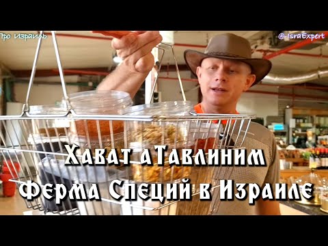 Видео: Самая большая Ферма Специй в Израиле -Хават - а Тавлиним