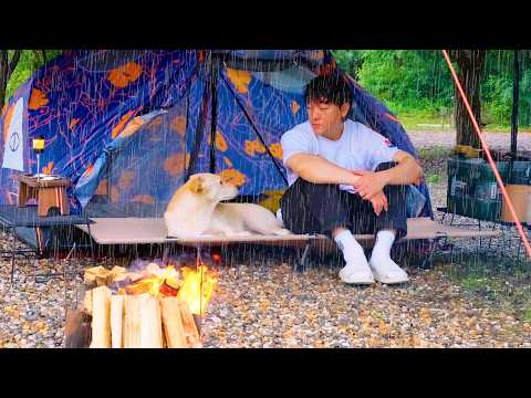 Видео: Кемпинг в тропическом лесу с собакой ☔️⛺️ Уютные звуки природы