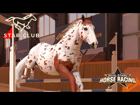 Видео: КНАБСТРУППЕРЫ! Разведение, конкур и прогулка 🌺 Rival Stars Horse Racing