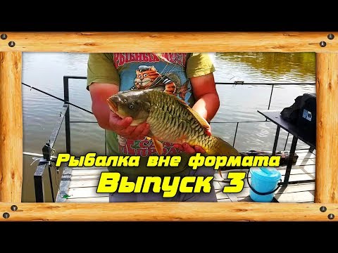 Видео: #3. Ловля зеркального карпа. Озеро Золотая Рыбка. Рыбалка в Алматы.