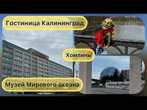 Видео: Гостиница Калининград. Музей Мирового Океана. В поисках Хомлинов. 22.02.24