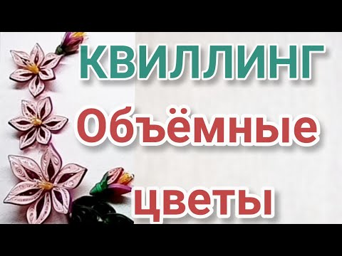 Видео: Красивые объёмные цветы в технике квиллинг Quillihg на 8 марта в объёмной рамке