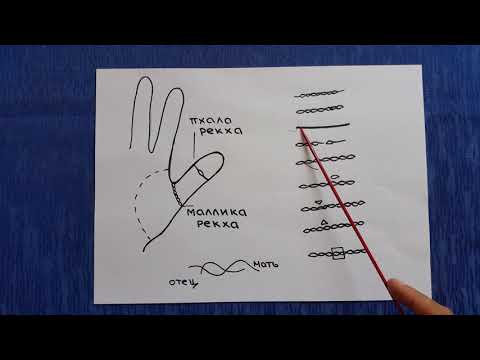 Видео: Хиромантия. Линия РОДА. Семейное счастье. Большой палец. Часть 4