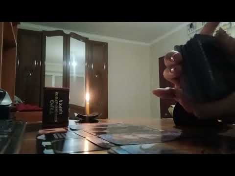 Видео: VEDMA в деле!