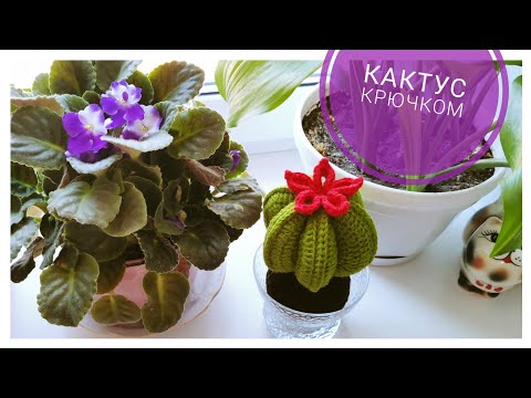 Видео: ЦВЕТУЩИЙ КАКТУС КРЮЧКОМ 🌵Crochet cactus