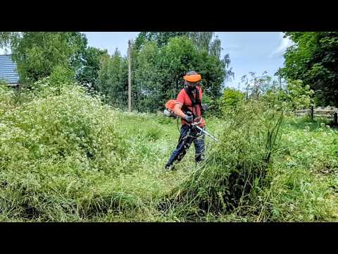 Видео: Купил хутор на краю леса сенокос в разгаре надо успеть всё