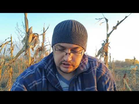 Видео: Такой осени я не помню