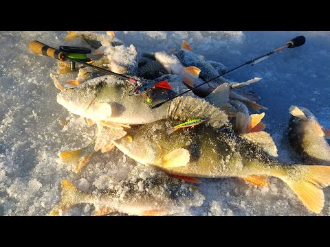 Видео: ЗА ТАКИМИ ПОКЛЁВКАМИ Стоило ехать. Рыбалка 2019. Первый лёд 2019-2020.Окунь на балансир