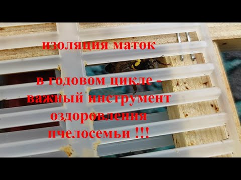 Видео: Ч. 4.  ЭФФЕКТИВНО БОРЕМСЯ С КЛЕЩЁМ ВАРРОА!!!  ИЗОЛЯТОР ХМАРЫ !!!  ТЕХНОЛОГИЯ ПРИМЕНЕНИЯ !!!