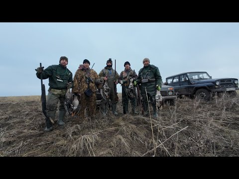 Видео: Охота на гуся и охота с подсадной манной уткой, Добыли гусей и селезней уток. Калмыкия 2025