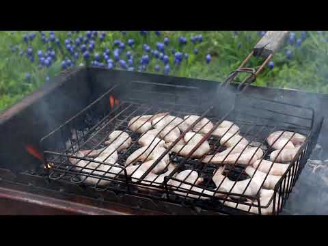 Видео: Быстрое и изысканное блюдо на мангале.
