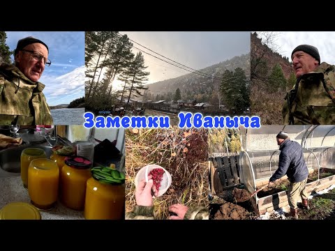 Видео: Отправился на поиски клюквы, дела домашние