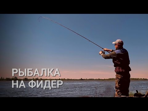 Видео: Рыбалка на реке. Поклёвки на фидер. Фидер 2025.