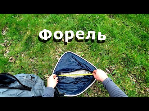 Видео: Ловля форели на реке. Форель в германии.