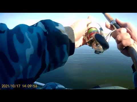 Видео: На просторах Желкуара часть 3