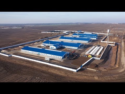Видео: Экспериментальная база «Криничная» открыла в Гуринах новую молочно-товарную ферму