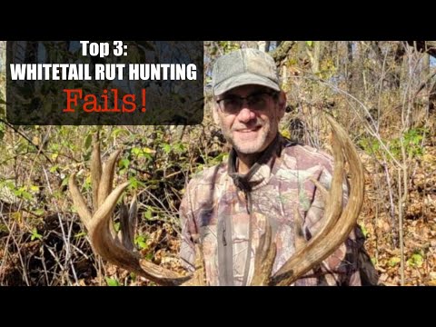 Видео: Топ-3: Неудачная охота на белохвостого оленя во время гона