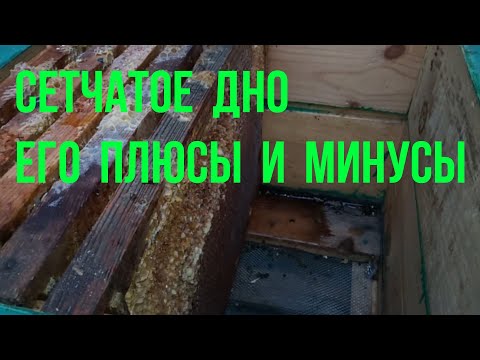 Видео: Сетчатое дно улья.  Применение дно сетка на нашей пасеке при... зимовка пчел . пасека