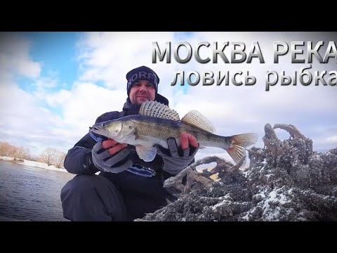 Видео: МОСКВА РЕКА. На рыбалке дело было так!