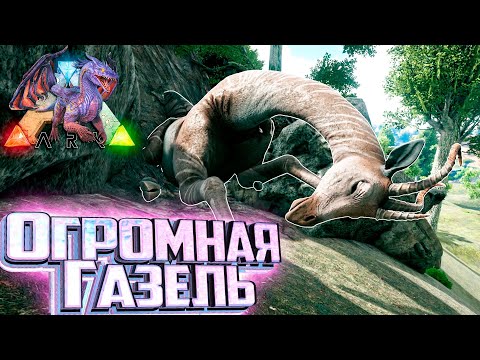 Видео: Газеле-Жираф и Морской Монстр БАРО - ARK Элементальная Аномалия #15