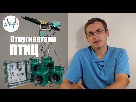 Видео: Какой отпугиватель птиц выбрать? Узнайте сейчас!