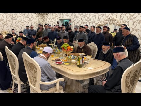 Видео: 2024 02 27 - молт у Шоанхой Абдуллы