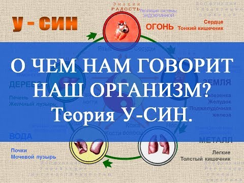 Видео: О чем нам говорит наш организм? Теория У-СИН. Здоровье с ЦСТО "Жемчужина Востока".