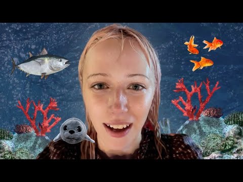 Видео: путешествие в подводный мир (реально)