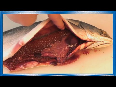 Видео: Как выбрать самку горбуши с красной икрой в магазине,