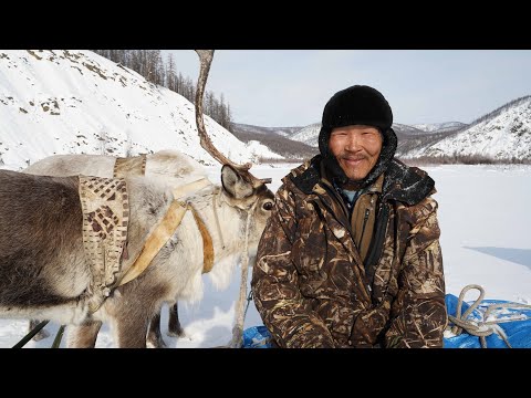 Видео: Сааскы айаннар_Өймөкөөҥҥө табаһыттар сырыылара_Егор Макаров бырайыага