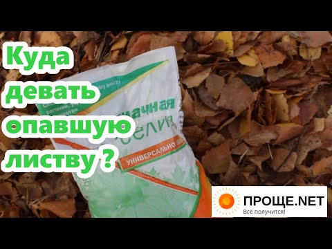 Видео: Делаю быстрое и дешёвое удобрение из опавших листьев🍁🍂 Что не кладу в компост. Показываю результат!