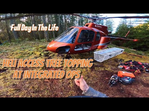 Видео: Целый день вертолетной подготовки к обрезке верхушек деревьев в Integrated Ops