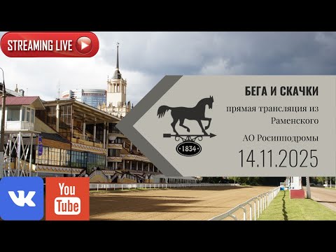 Видео: 14.11.2025: Прямая трансляция из Раменского.