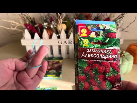 Видео: Семена 2026,посылки получены 👍😱👍