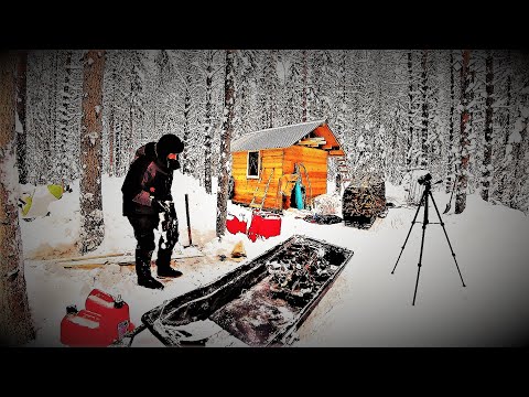 Видео: “ТАЙГА” -31 УСТАНОВИЛ ЛОВУШКИ НА ВОЛКОВ! ЕДУ ЗА СХРОНОМ! ДВИГАТЕЛЬ, ТРАКИ, ОТ  ТРАКТОРА ТДТ 55.