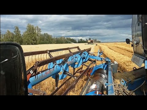 Видео: Уборка, посев, смена руководства! №30