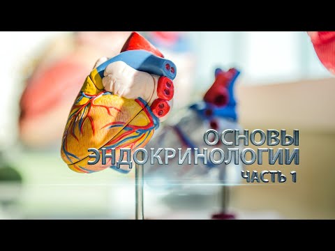 Видео: Основы эндокринологии. Часть 1.