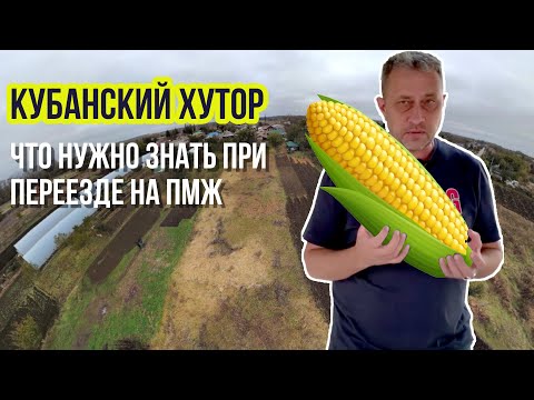 Видео: О Кубанских хуторах, чем живет и как выбрать хутор для переезда.