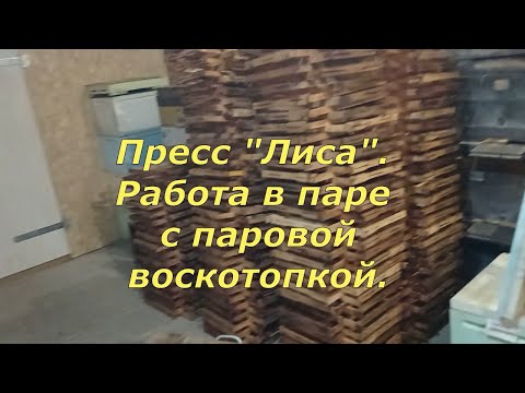 Видео: Пресс "Лиса". Работа в паре с паровой воскотопкой. Часть 3. (18.11.2024)