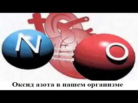 Видео: Оксид азота в нашем организме