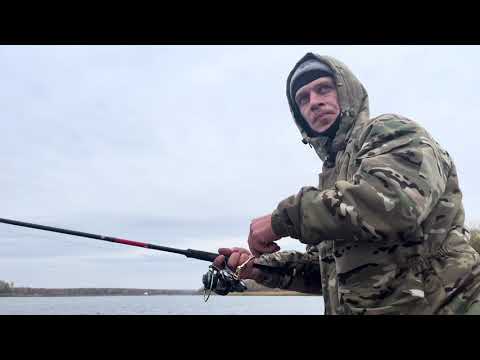 Видео: Осенний вайб