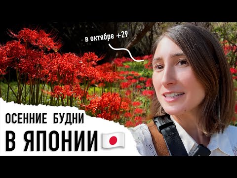 Видео: Обычные дни в Японии в октябре! Период почитания предков и сбора урожая