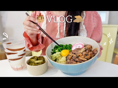 Видео: SUB) Я сделал бульгоги удон 🍲 и ультра-простый хуки с фритюром.🥐🍪 ㅣ Takoyaki bulbul