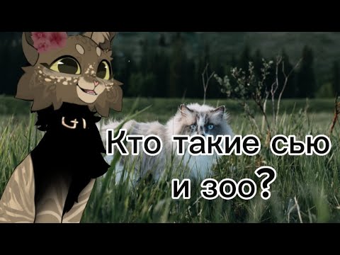 Видео: " Кто такие сью и зоо? "