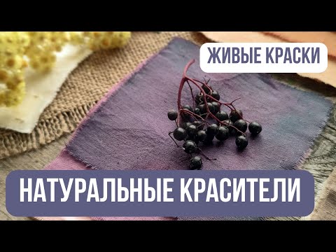 Видео: Натуральные красители для тканей. Обзор растительных пигментов